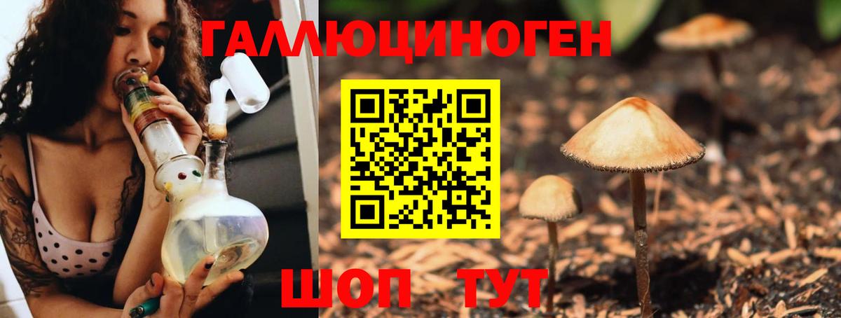 Псилоцибиновые грибы GOLDEN TEACHER  Вход с VPN  Луга 