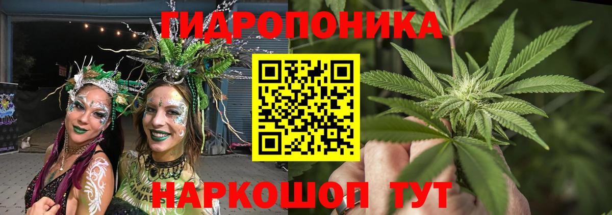 МАРИХУАНА планчик  Конопля Ganja  МАРИХУАНА MAZAR  Вход с VPN  Луга  Шишки марихуана тримм 